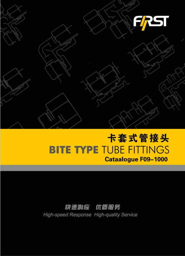 ����ʽ������